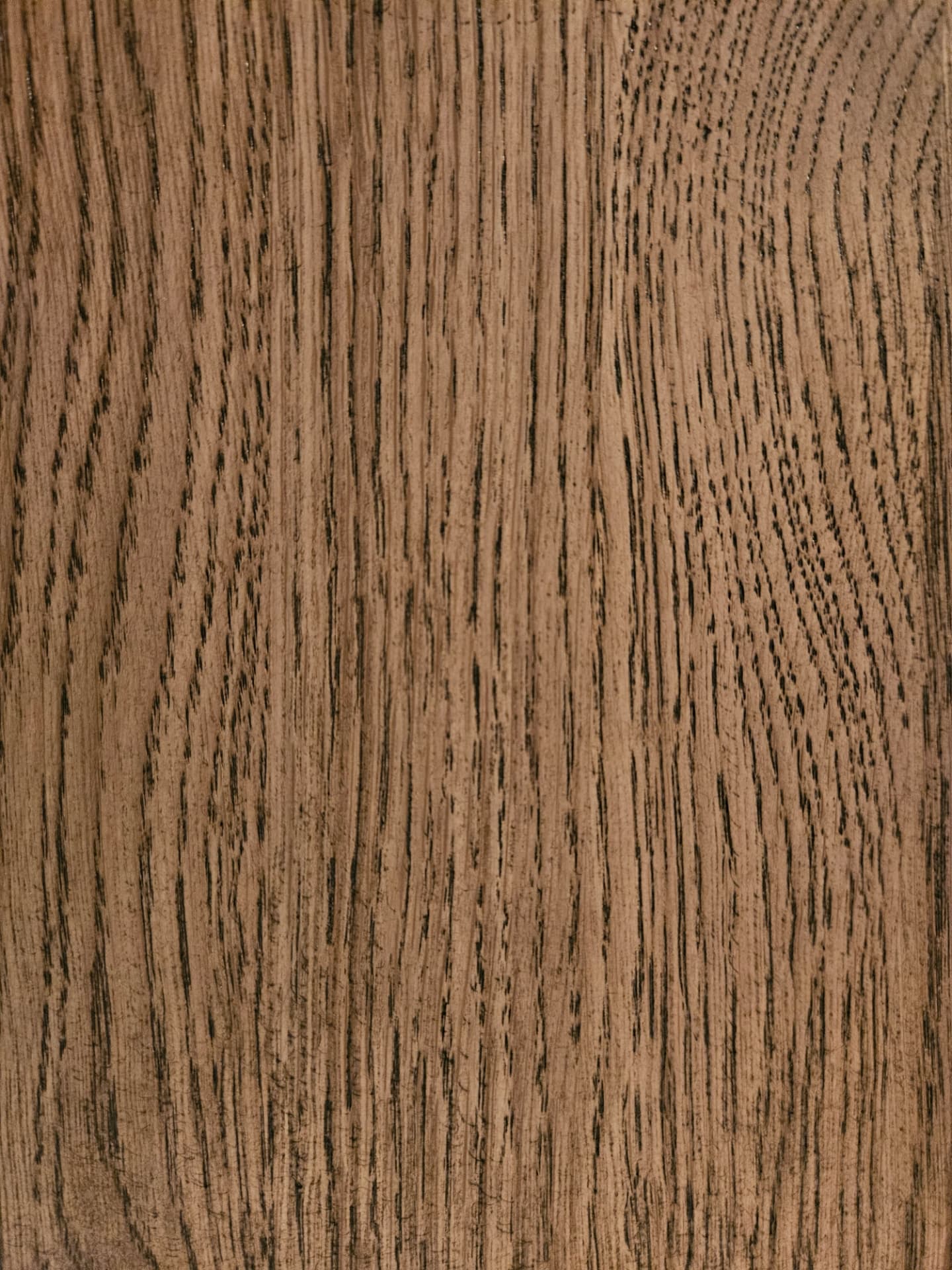 Rustic Oak wood grain macro