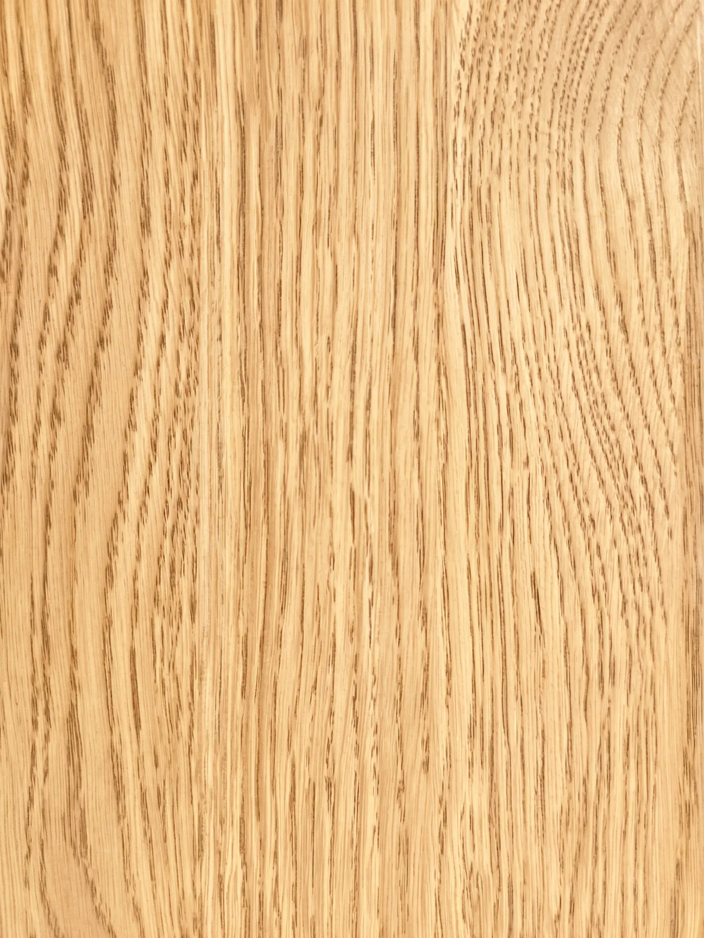Natural Oak wood grain macro